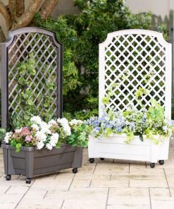 Waveup.shopba1c2eaf85 1