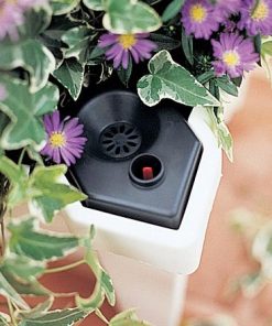 Waveup.shopba1c2eaf85 2