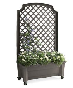 Waveup.shopba1c2eaf85 3