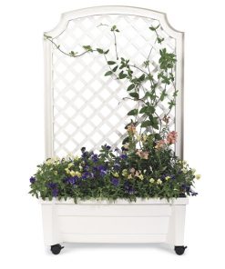 Waveup.shopba1c2eaf85 4