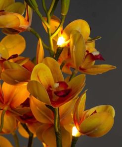 Waveup.shopbf7bdf5f31 4