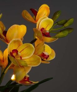 Waveup.shopbf7bdf5f31 5