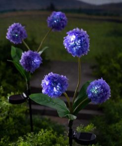 Waveup.shopc0f18d2e1d 1