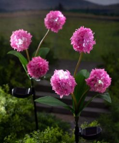 Waveup.shopc0f18d2e1d 2