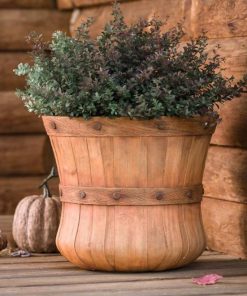 Waveup.shopc0fb414eb4 1