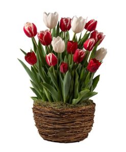 Waveup.shopc2f240e448 2