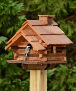 Waveup.shopc5062e04c4 1