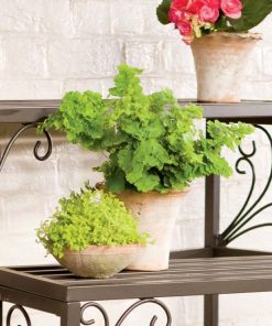 Waveup.shopcd619e05ba 2