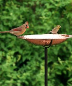 Waveup.shopce4ac2381b 1