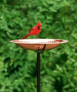 Waveup.shopce4ac2381b 2