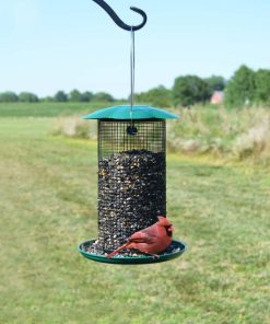 Waveup.shopd13fdb30b7 1