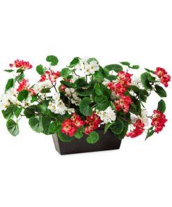 Waveup.shopd2e7712d8a 2