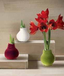 Waveup.shopd3b0a6af95 1