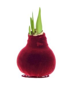 Waveup.shopd3b0a6af95 2