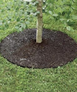 Waveup.shopd44f1fcd59 2