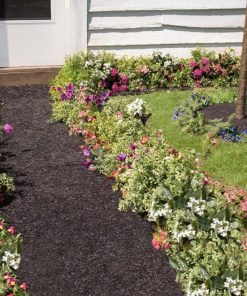 Waveup.shopd44f1fcd59 4