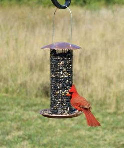 Waveup.shopda37551c00 1