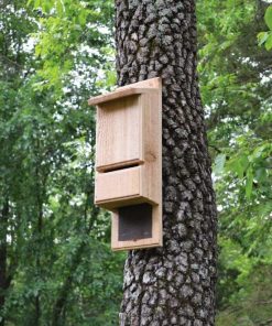 Waveup.shopdfc854b6e1 1