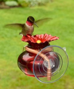 Waveup.shope5cbde4e2e 1