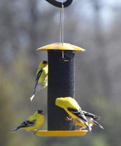 Waveup.shope7b352b0bd 1