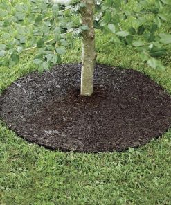 Waveup.shoped4a0258f9 2