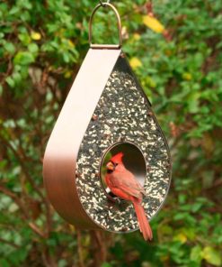 Waveup.shopef0121f59b 1