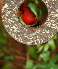 Waveup.shopef0121f59b 2