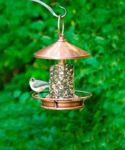 Waveup.shopf736ec43ef 1