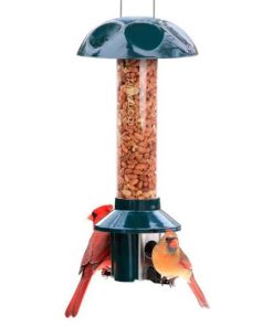 Waveup.shopfeb44cc75c 1