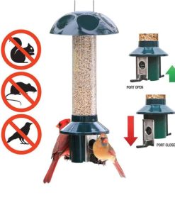 Waveup.shopfeb44cc75c 3